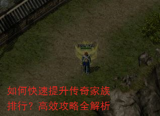 如何快速提升传奇家族排行?高效攻略全解析 如何快速提升传奇家族排行?高效攻略全解析